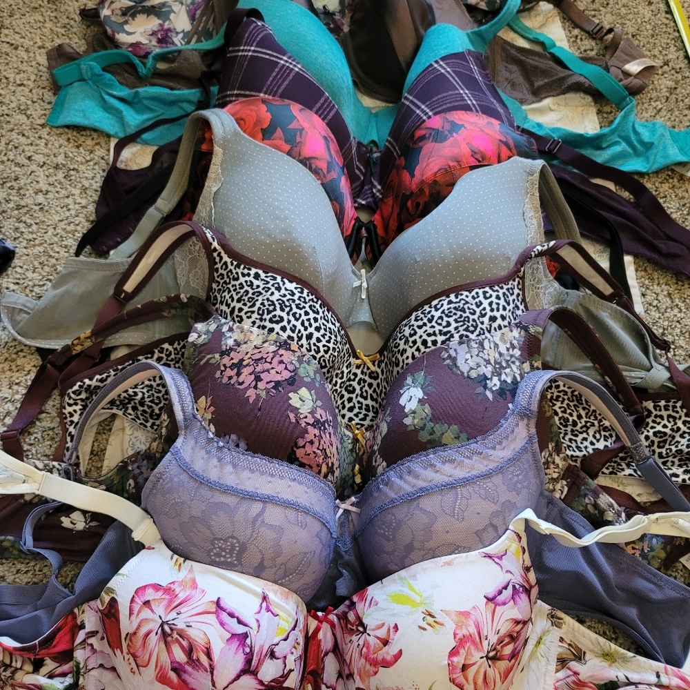 Lot of 10 assorted bras all 40dd